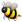 Animal Bee