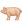Animal Pig2