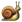 Animal Snail